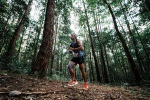 BIB: 
                            <button type="button" onclick="openModal(25261236)" class="btn btn-primary btn-sm float-right btn-popup" data-toggle="modal" data-target=".modal-high-quality">
                        <i class="fas fa-shopping-cart"></i> Add to Cart
                    </button>
                                            <button type="button" onclick="isThisMe(25261236, true)" class="btn btn-success btn-sm float-right btn-popup btn-isme hidden" data-toggle="tooltip" data-placement="bottom" title="นี่คือรูปของคุณใช่ไหม คลิกที่นี่เพื่อเอาเข้าอัลบั้ม">
                        <i class="fas fa-plus"></i> Add to album
                    </button>
                    <button type="button" onclick="isThisMe(25261236, false)" class="btn btn-warning btn-sm float-right btn-popup btn-isnotme hidden">
                        <i class="fas fa-ban"></i> Remove from album
                    </button>